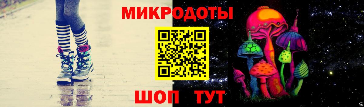 Воронеж  Галлюциногенные грибы Psilocybe  Вход с VPN 